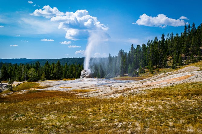 Yellowstone Full Day Private Tour - Exploring Yellowstones Geology