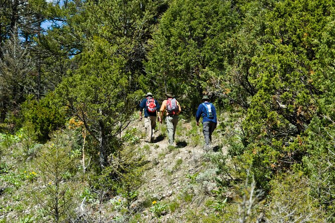 Yellowstone Full Day Private Tour - Wildlife Viewing Opportunities