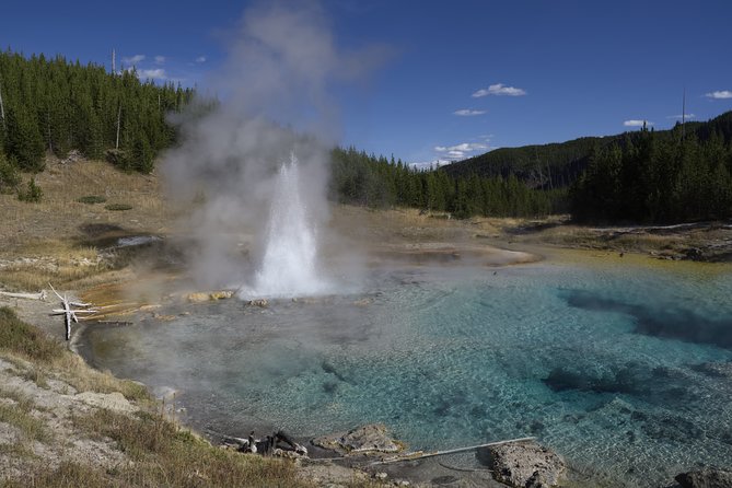 Yellowstone Full Day Private Tour - Tailored Tour Experiences