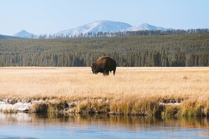 Yellowstone Full Day Small Group Tour (from West Yellowstone) - The Itinerary: A Step-by-Step Breakdown