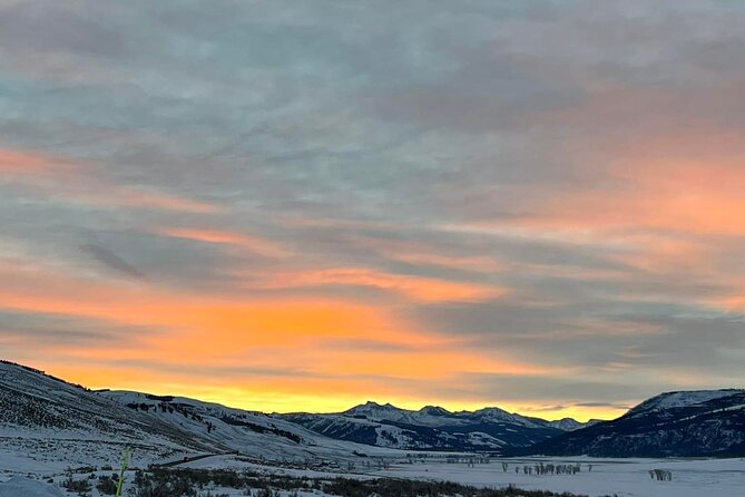 Yellowstone Full-Day Upper Loop With Wildlife Adventure W/Lunch - Included Features