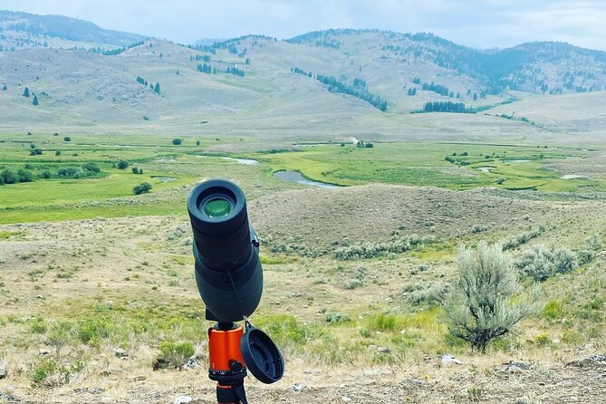 Yellowstone Full-Day Upper Loop With Wildlife Adventure W/Lunch - Yellowstones Ecology