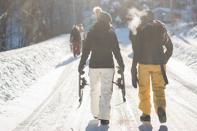 Yellowstone Full Day Winter Tour (With Optional Hike or Snowshoe) - Private Tour Experience
