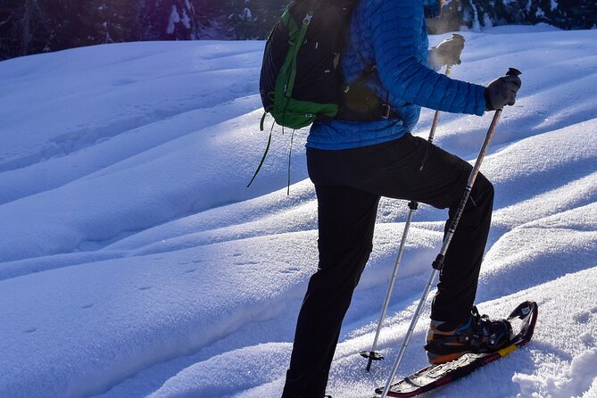 Yellowstone Full Day Winter Tour (With Optional Hike or Snowshoe) - Additional Information