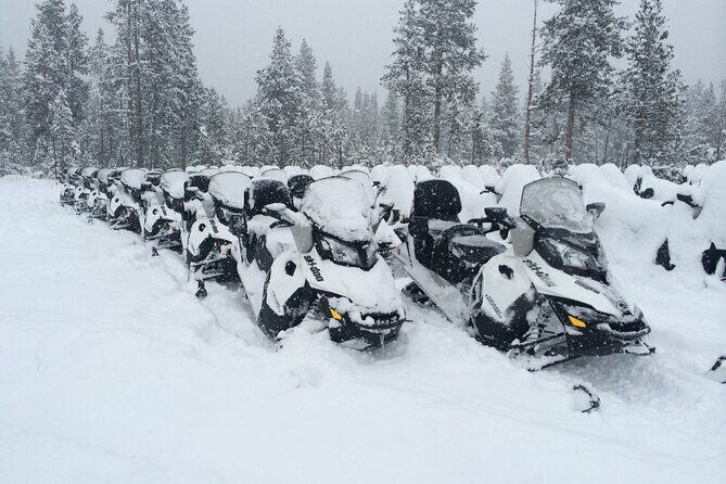 Yellowstone Grand Canyon Full Day Snowmobile Tour - Authenticity and Practical Considerations