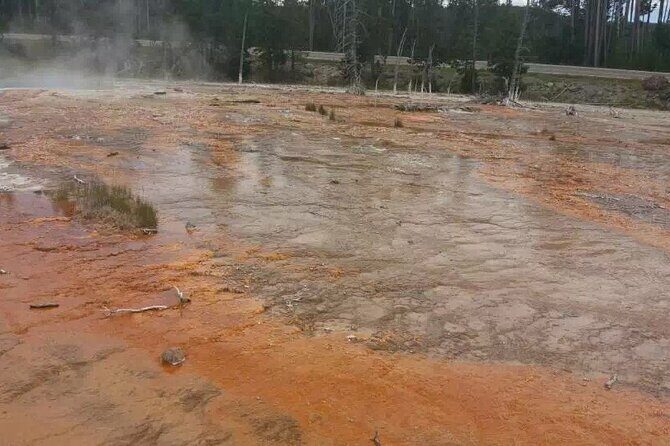 Yellowstone Grand Teton and Coeur dAlene 5-Day Tour from Seattle - Key Points