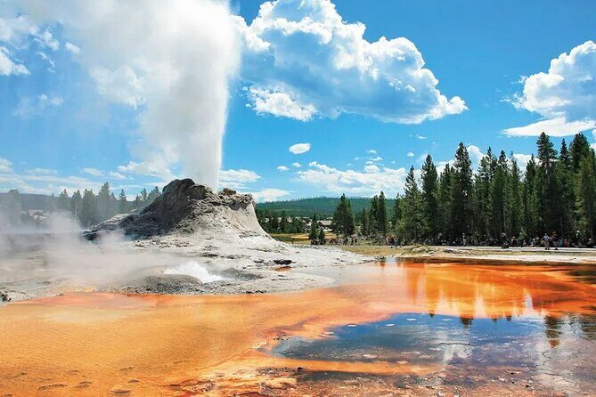 Yellowstone Grand Teton and Coeur dAlene 5-Day Tour from Seattle - Analyzing the Experience: What Makes It Stand Out?