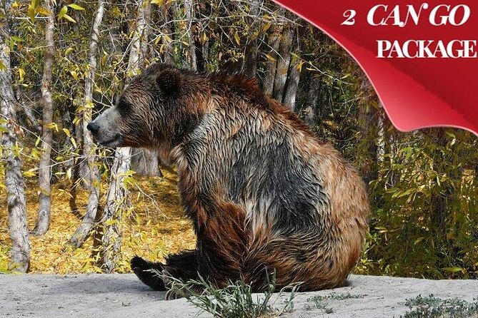 Yellowstone, Grand Teton, and Hot Springs: Small Group 5-Day Tour - Pickup and Drop-off