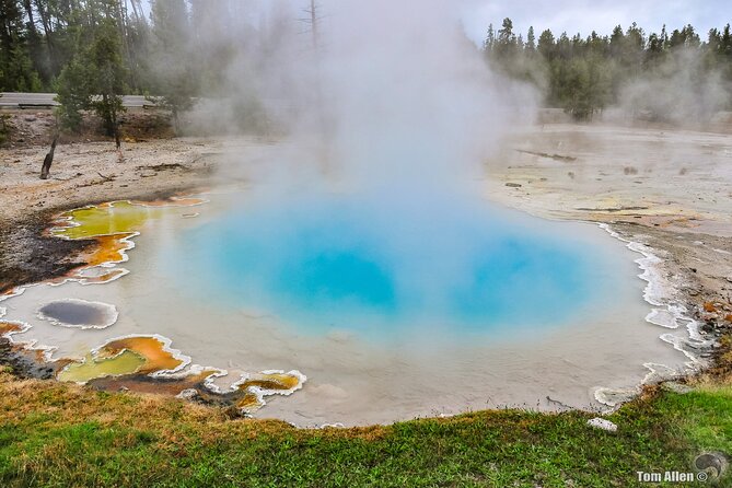 Yellowstone, Grand Teton, and Hot Springs: Small Group 5-Day Tour - Group Size and Ages