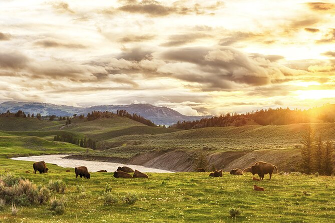 Yellowstone, Grand Teton, and Hot Springs: Small Group 5-Day Tour - Accessibility and Medical Conditions
