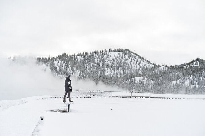 Yellowstone & Grand Teton National Parks Private Winter Tour 5-Day - Cancellation Policy and Liability