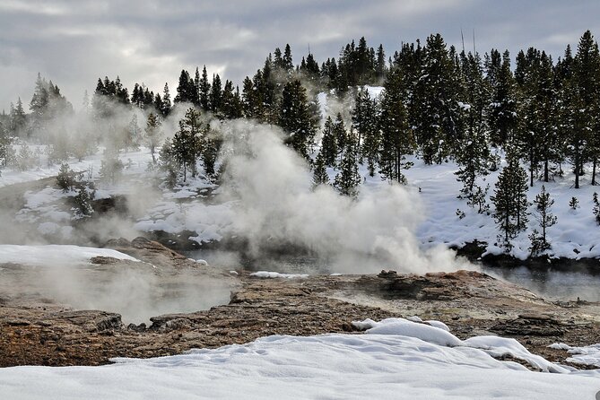 Yellowstone & Grand Teton National Parks Private Winter Tour 5-Day - Explore Yellowstones Winter Wonders