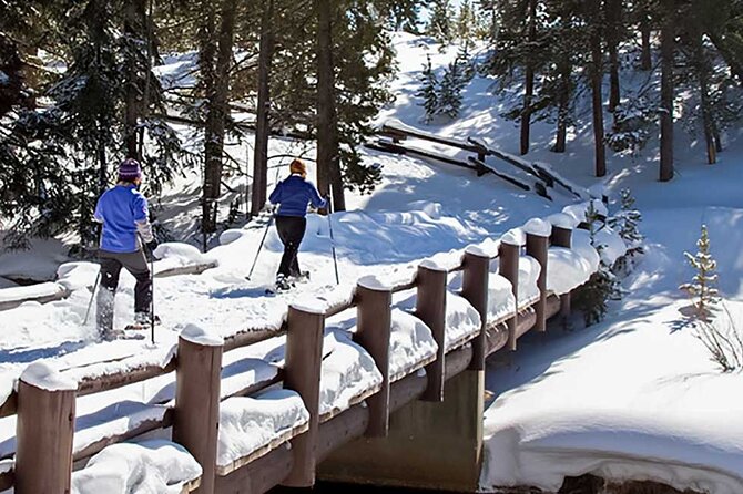 Yellowstone & Grand Teton National Parks Private Winter Tour 5-Day - Customize Your Ideal Winter Adventure
