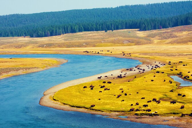 Yellowstone & Grand Teton National Parks: Small Group 3-Day Tour - Exploring Yellowstone