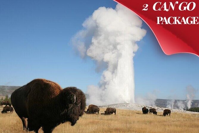Yellowstone & Grand Teton National Parks: Small Group 4-Day Tour - Itinerary Day 2