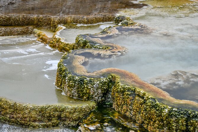 Yellowstone & Grand Teton National Parks: Small Group 4-Day Tour - Itinerary Day 3