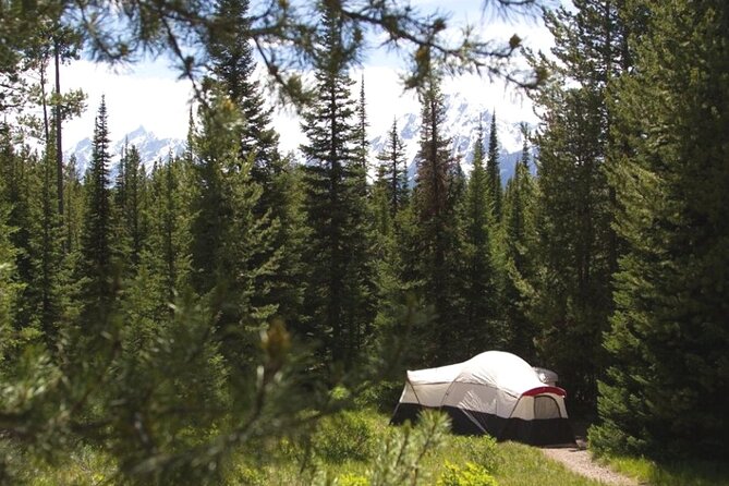 Yellowstone & Grand Teton National Parks: Small Group 6-Day Tour - Pickup and Itinerary Details