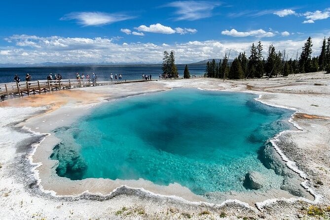 Yellowstone & Grand Teton National Parks: Small Group 6-Day Tour - Recent Feedback and Improvements