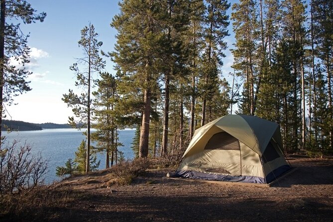 Yellowstone & Grand Teton National Parks: Small Group 6-Day Tour - Exploring Yellowstone National Park