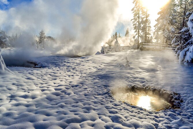 Yellowstone & Grand Teton National Parks Winter Tour: Small Group 4-Day Tour - Booking Requirements