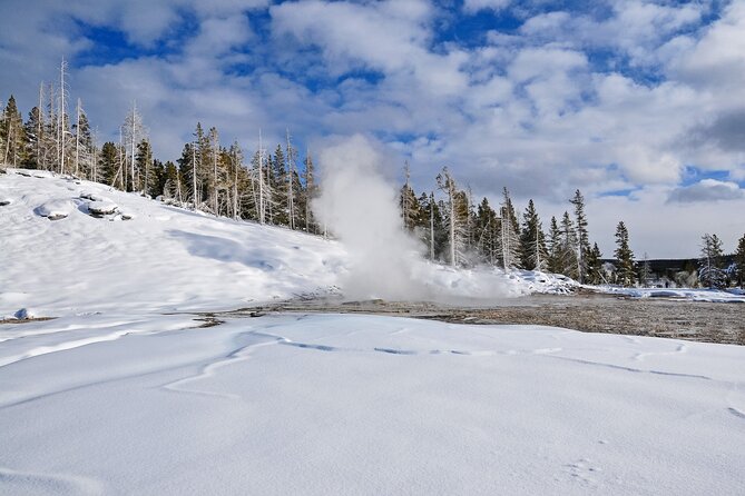 Yellowstone, Grand Teton & Utah Mighty 5 Winter Tour: Small Group 9-Day Tour - Pickup and Drop-off