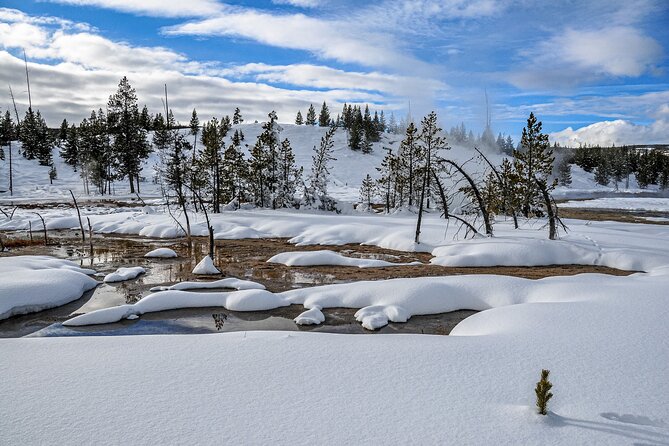Yellowstone, Grand Teton & Utah Mighty 5 Winter Tour: Small Group 9-Day Tour - Accommodation and Meals