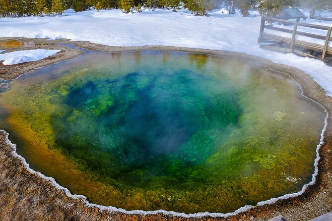 Yellowstone, Grand Teton & Utah Mighty 5 Winter Tour: Small Group 9-Day Tour - Cancellation and Policies