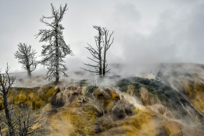 Yellowstone, Grand Teton & Utah Mighty 5 Winter Tour: Small Group 9-Day Tour - Cost and Reviews