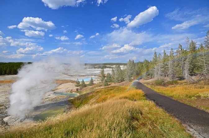 Yellowstone Hot Spring & Geyser Basin Tour - Key Points