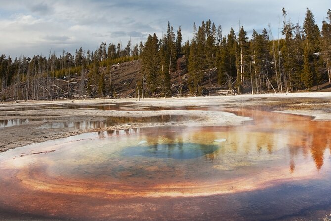 Yellowstone Hot Spring & Geyser Basin Tour - Participant Information