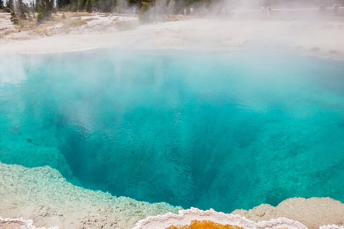 Yellowstone Hot Spring & Geyser Basin Tour - Dietary Accommodations