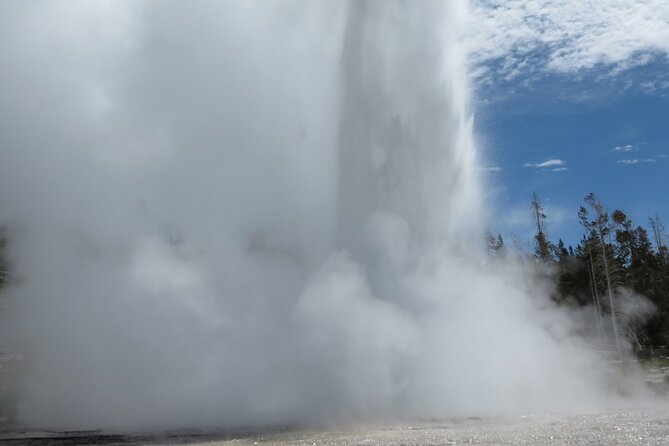 Yellowstone Hot Spring & Geyser Basin Tour - Park Entrance Fee