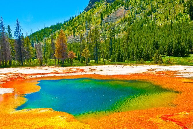 Yellowstone Hot Springs and Geyser Basins Tour - Tour Highlights