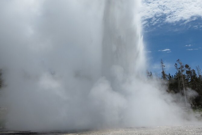 Yellowstone Hot Springs and Geyser Basins Tour - Wildlife Spotting Opportunities