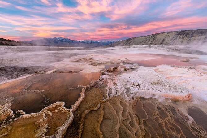 Yellowstone in a Day - Wildlife, Canyons, & Hot Springs - What to Expect