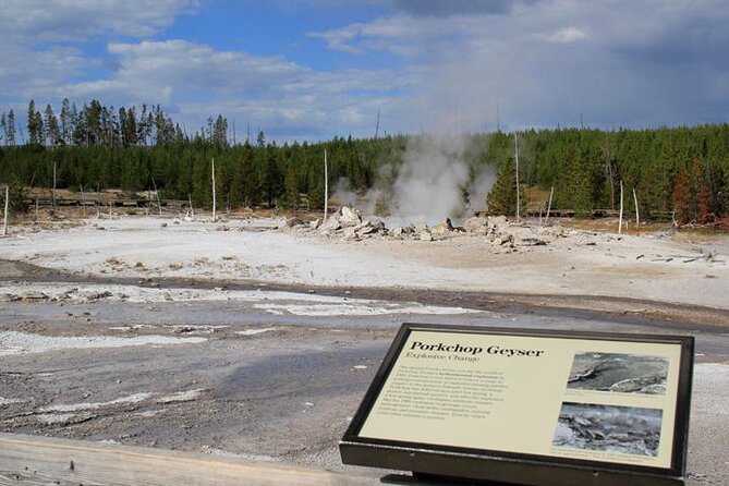 Yellowstone Lower Loop VIP Full-Day Private Tour With Lunch - Highlights of the Tour