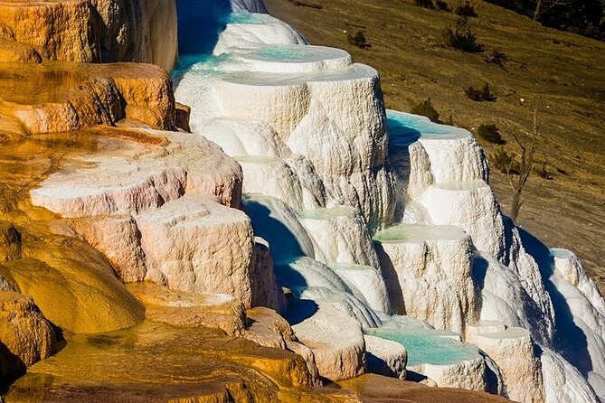 Yellowstone Lower Loop VIP Full-Day Private Tour With Lunch - Reviews and Ratings