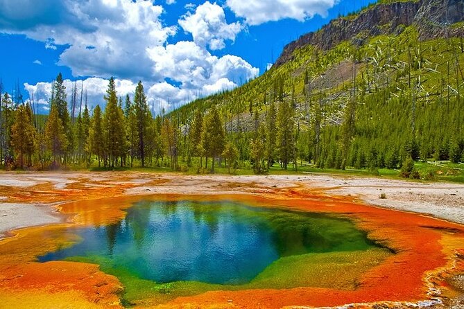 Yellowstone Lower Loop VIP Full-Day Private Tour With Lunch - Customized Dining Experiences