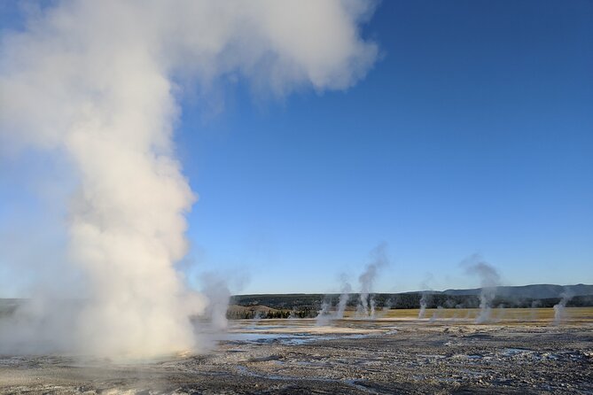 Yellowstone Lower (Southern) Loop Tour - Accessibility and Participation