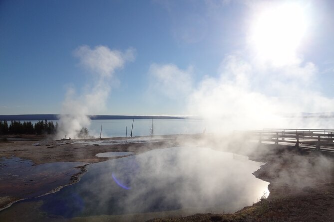 Yellowstone Lower (Southern) Loop Tour - Wildlife Sightings