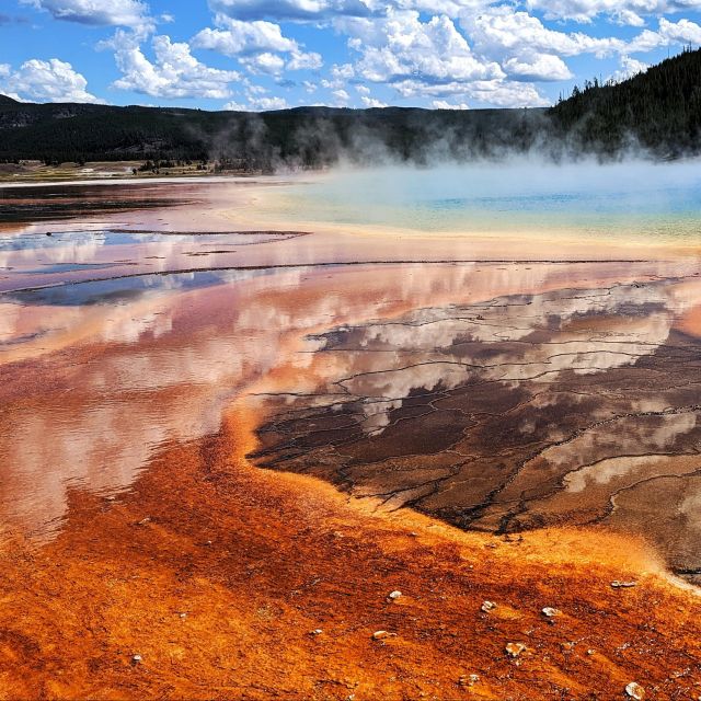 Yellowstone, MT: Lower Loop Private Tour - Important Information for Participants