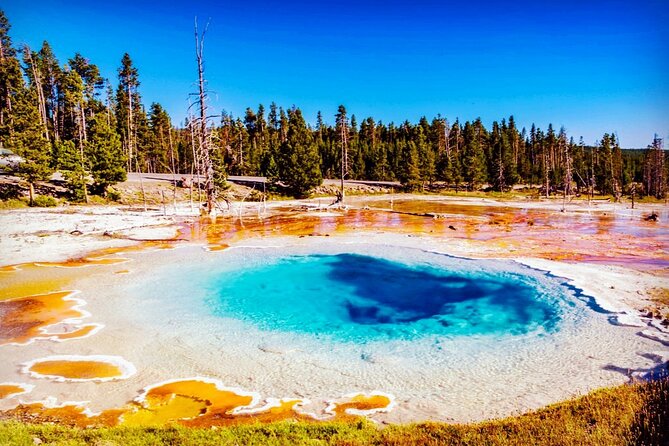 Yellowstone National Park 6-Day Tour From Vancouver (Chn&Eng) - Booking and Confirmation