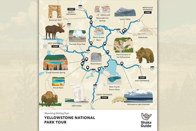 Yellowstone National Park Audio Driving Tour - Discovering Yellowstones Iconic Wildlife