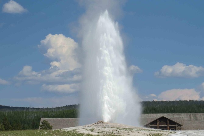 Yellowstone National Park - Full-Day Lower Loop Tour From Jackson - Detailed Itinerary