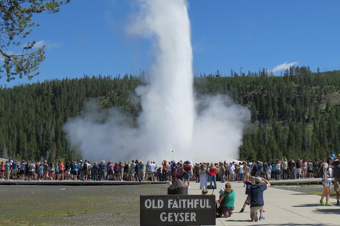 Yellowstone National Park - PRIVATE Full-Day Lower Loop Tour From Jackson Hole - Inclusions
