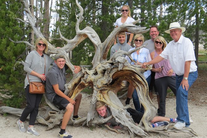 Yellowstone National Park - PRIVATE Full-Day Lower Loop Tour From W. Yellowstone - Key Attractions