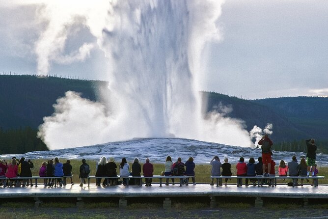 Yellowstone National Park Tour From Jackson Hole - Contact Information