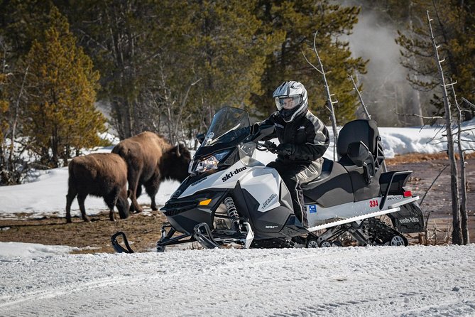 Yellowstone Old Faithful Full-Day Snowmobile Tour From Jackson Hole - Tour Group Size and Composition