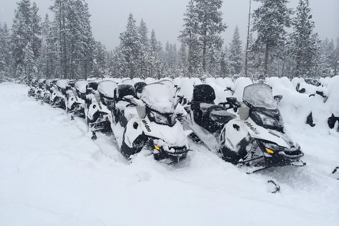 Yellowstone Old Faithful Full-Day Snowmobile Tour From Jackson Hole - Customer Reviews and Ratings