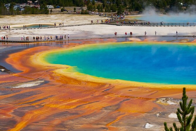 Yellowstone: Private Guided Tour - Pickup and Meeting Information